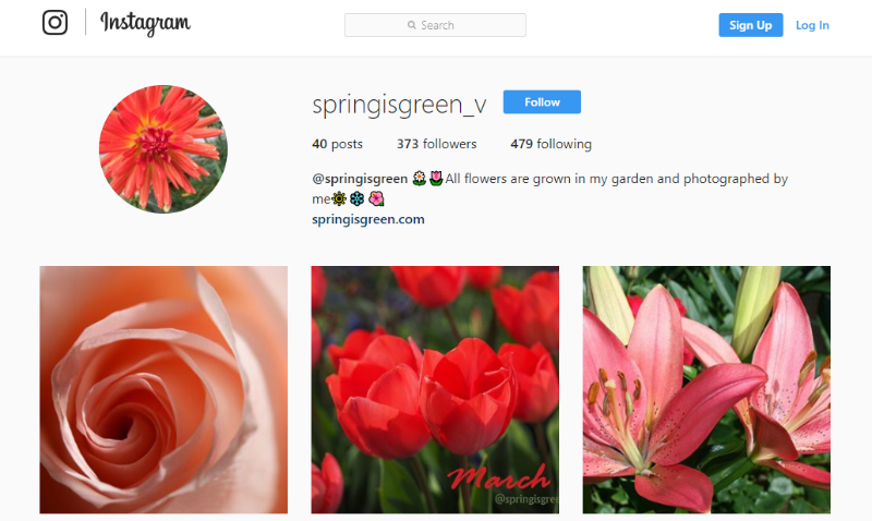 http://instagram/springisgreen_v